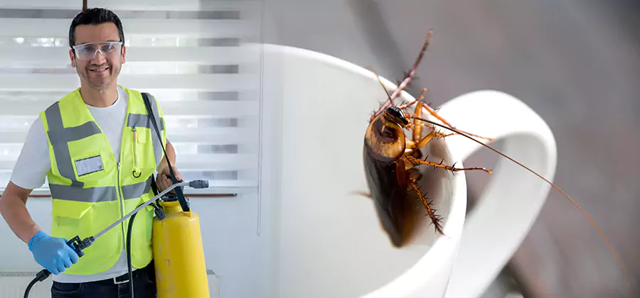 German Roach Infestation Treatment Wixom