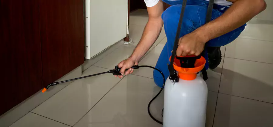Indoor Mosquito Treatment in Wixom