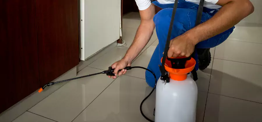Indoor Insect Killer Solutions in Wixom
