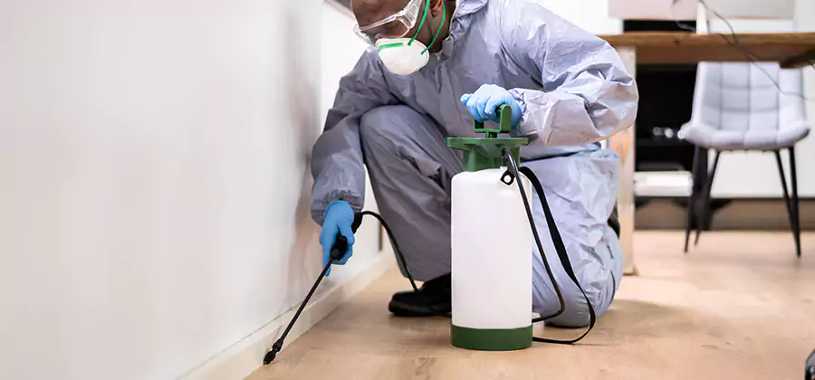 Long Lasting Mosquito Treatment in Wixom