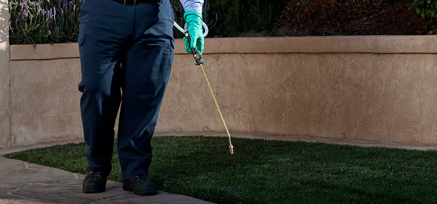 Soil Treatment for New Construction Termites in Wixom