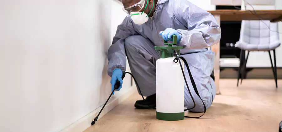 No Tent Termite Extermination With Electric Tool in Wixom
