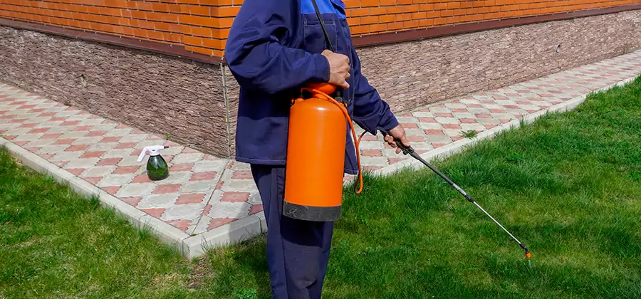 Non Toxic Termite Treatment in Wixom