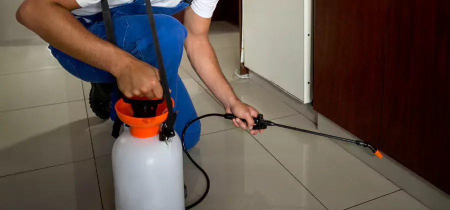 One Time Termite Control in Wixom