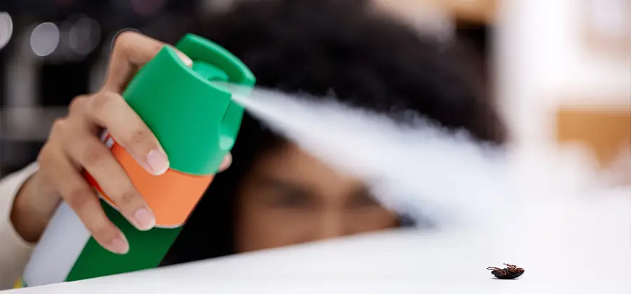 Child Safe Bed Bug Treatment in Wixom