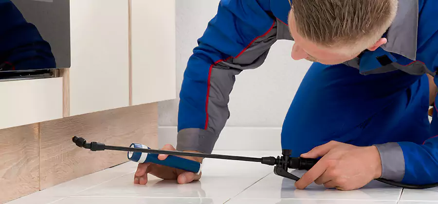 Moisture Treatment For Termite Control Service in Wixom