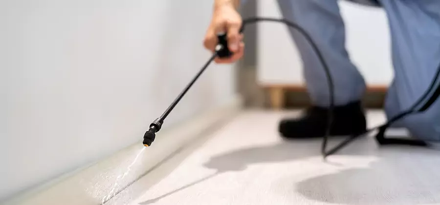 Direct Termite Injection Treatment in Wixom