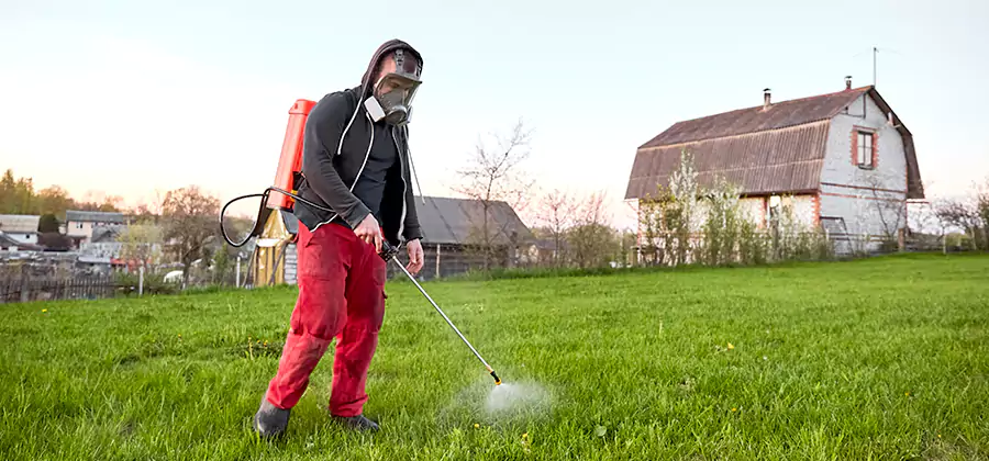 Flea and Tick Pest Control in Wixom