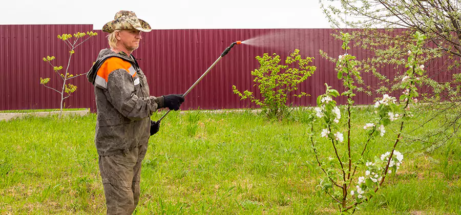 Flea and Tick Spray for Yard in Wixom