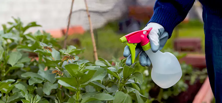 Yellow Jacket Pest Removal for Commercial Properties in Wixom