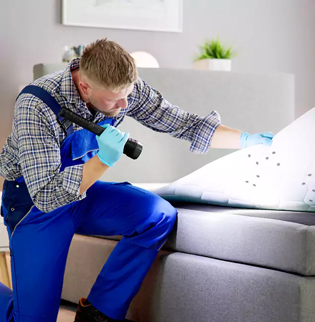 Why Choose Wixom Pest Control Pro for Bed Bug Exterminator Cost in Wixom, MI?