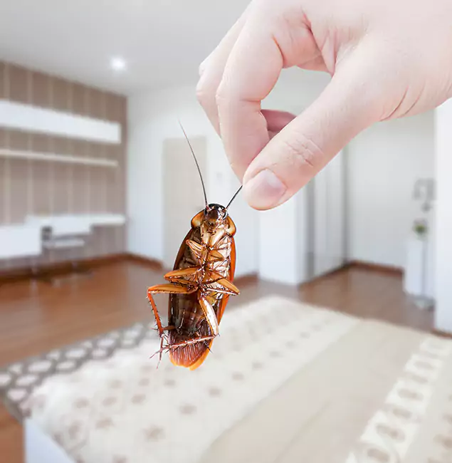 Why Wixom Pest Control Pro Stand Out for Bed Bug Fumigation in Wixom, MI?