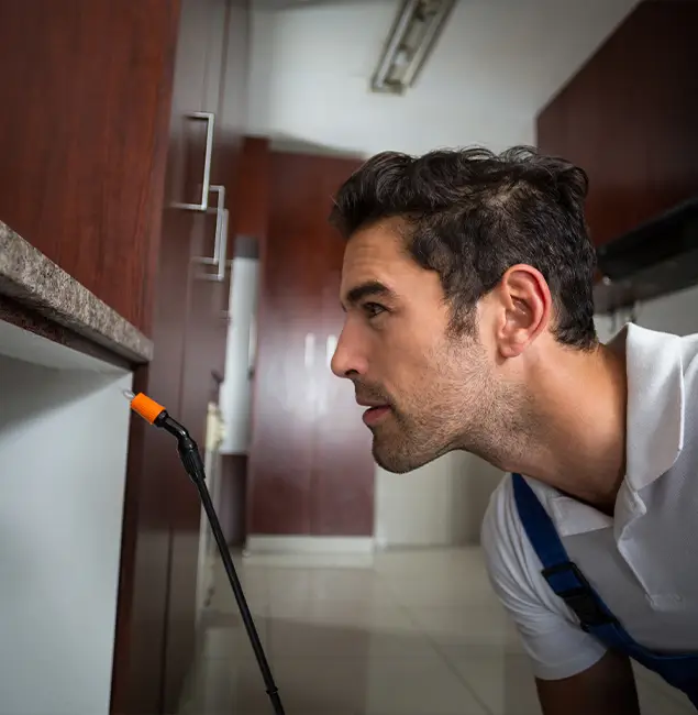 Why Choose Wixom Pest Control Pro for Bed Bug Removal Cost in Wixom, MI?