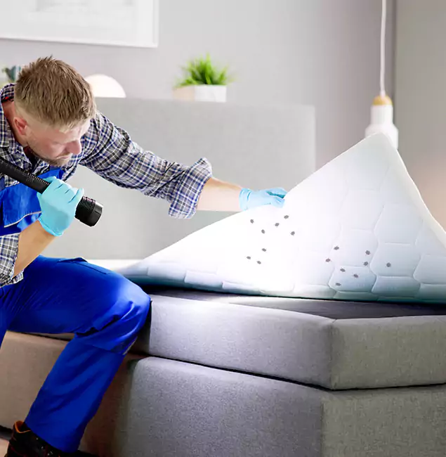 Why Choose Wixom Pest Control Pro in Wixom, MI?