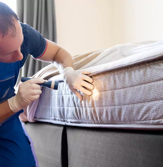 Why Choose Wixom Pest Control Pro for Bed Bug Services in Wixom, MI?