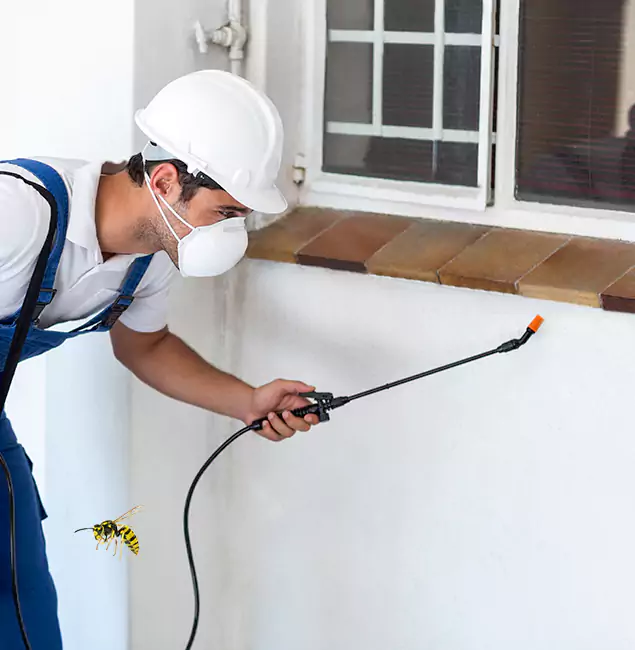 Why Wixom Property Owners Choose Wixom Pest Control Pro for Bee Nest Removal?