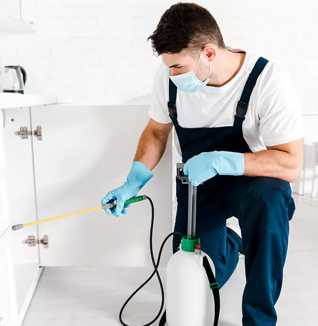 Why Choose Wixom Pest Control Pro for Emergency Pest Control in Wixom?