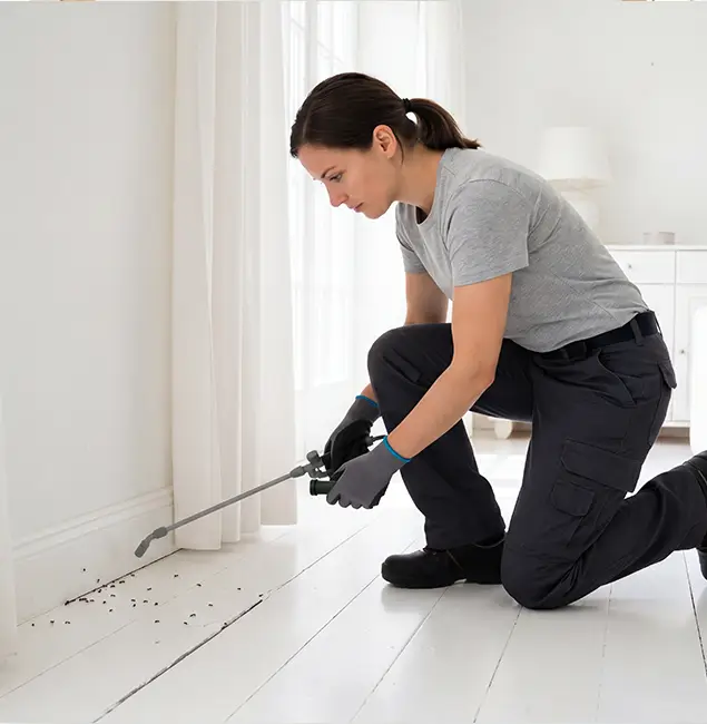 Why Wixom, MI Property Owners Trust Wixom Pest Control Pro for Fire Ant Control?