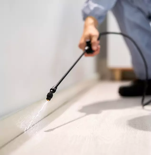 Why Choose Wixom Pest Control Pro for Termite Treatment in Wixom, MI?