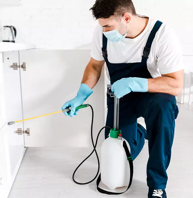 Why Wixom, MI Homeowners Trust Us for German Roach Control?