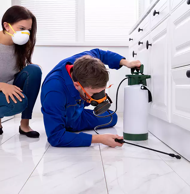 Why Wixom, MI Homeowners Trust Wixom Pest Control Pro for Roach Control?