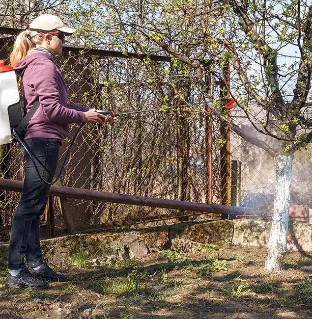 Why Wixom Homeowners Choose Wixom Pest Control Pro for Mosquito Abatement?