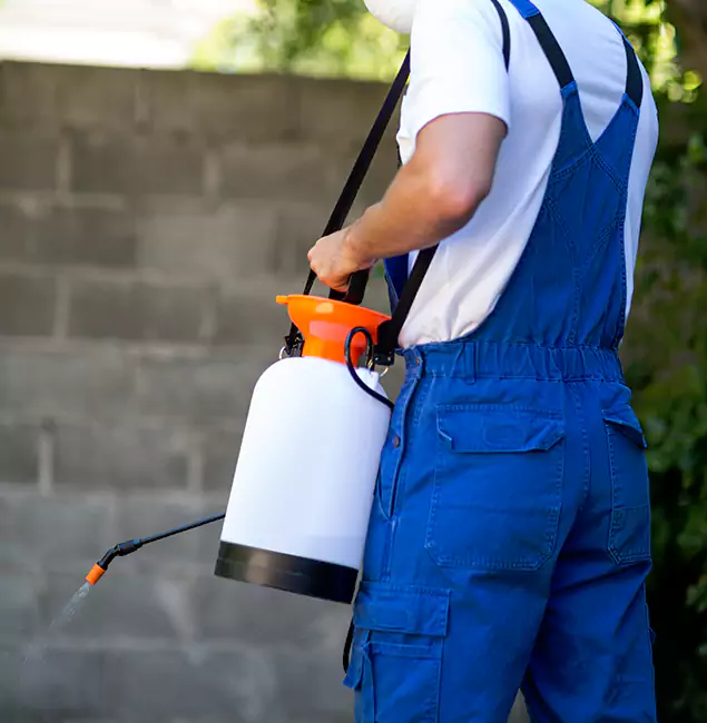 Why Wixom Homeowners Rely on Wixom Pest Control Pro for Mosquito Control?