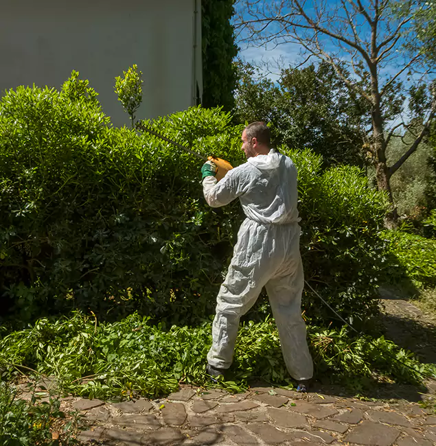 Why Wixom Pest Control Pro Leads Mosquito Control in Wixom, MI?