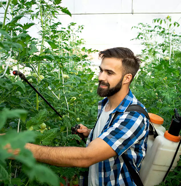 Why Wixom Homeowners Choose Wixom Pest Control Pro for Mosquito Spraying?