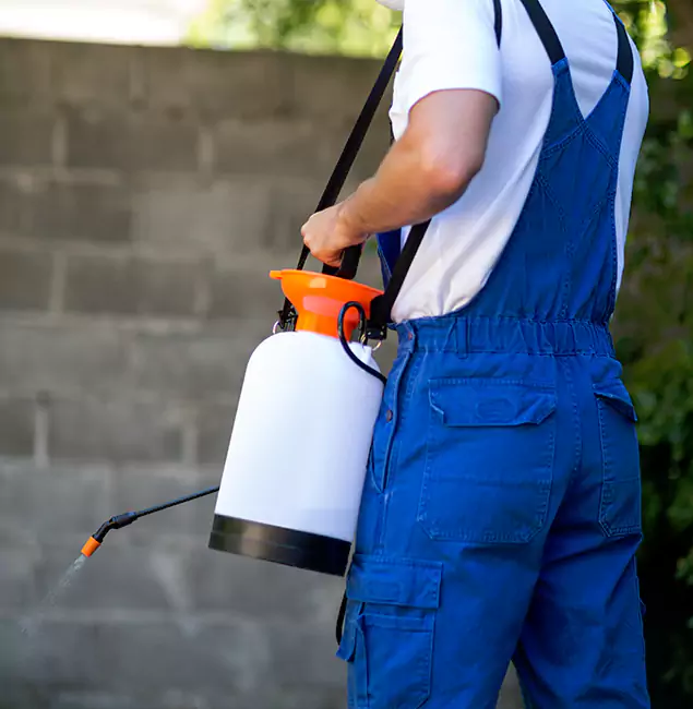 Why Wixom Pest Control Pro Delivers the Best Mosquito Control in Wixom, MI?