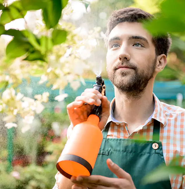Why Wixom Homeowners Call Wixom Pest Control Pro for Mosquitoes in House?