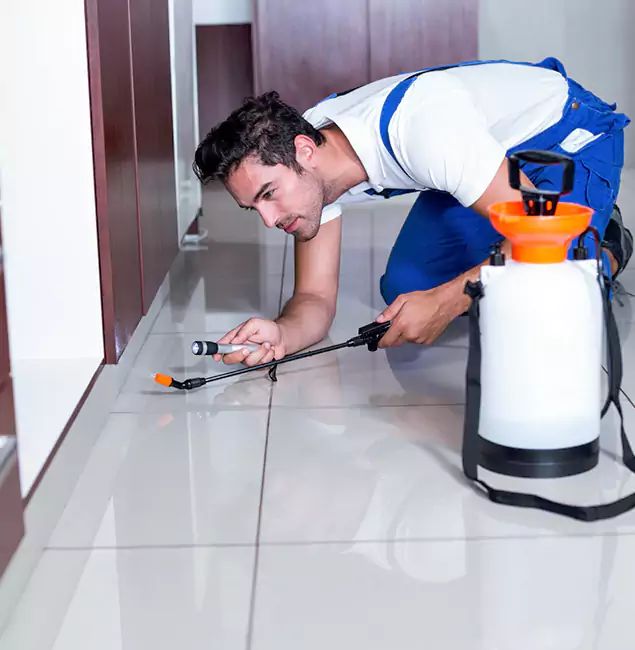 Why Wixom Pest Control Pro Is the Proven Choice in Wixom, MI?
