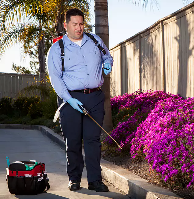 Why Choose Wixom Pest Control Pro in Wixom, MI?