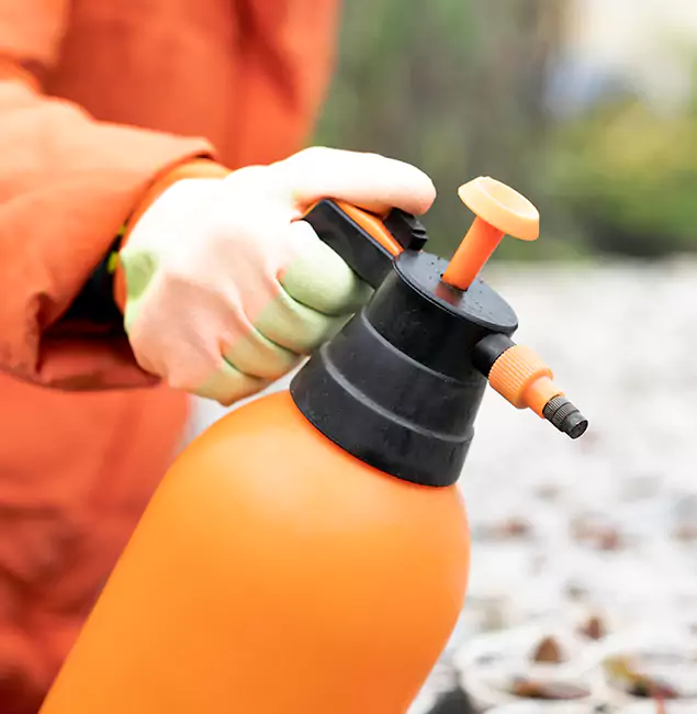 Why Choose Wixom Pest Control Pro for Orange Termite Treatment in Wixom, MI?