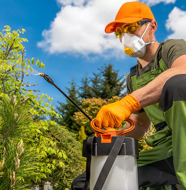 Why Choose Wixom Pest Control Pro for Outdoor Pest Control in Wixom, MI?