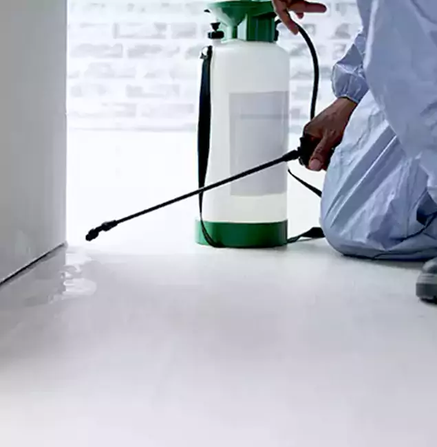 Why Choose Wixom Pest Control Pro for Rat Exterminator in Wixom, MI?