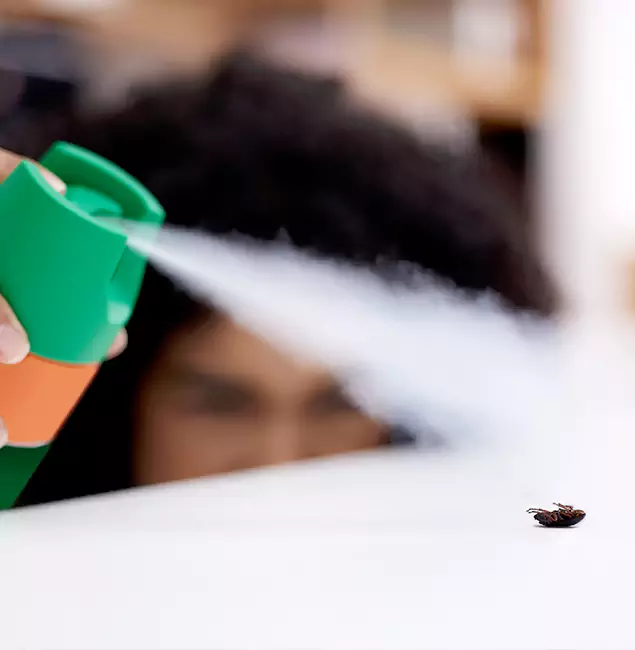 Why Wixom, MI Homeowners Choose Wixom Pest Control Pro for Roach Pest Control?