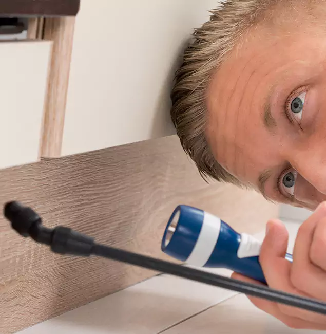 Why Choose Wixom Pest Control Pro for Rodent Exterminator in Wixom, MI?