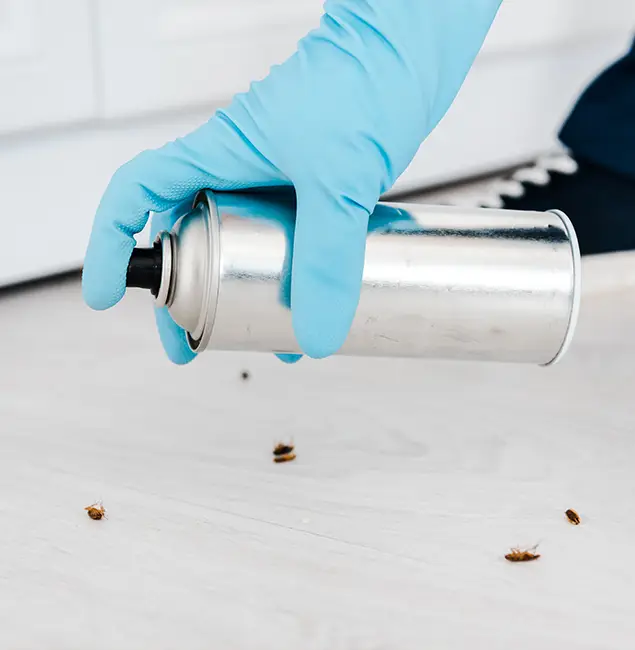 Why Choose Wixom Pest Control Pro for Safe Bed Bug Treatment in Wixom, MI?