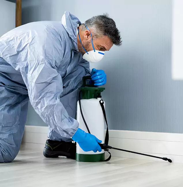 Why Choose Wixom Pest Control Pro for Subterranean Termites Treatment in Wixom, MI?