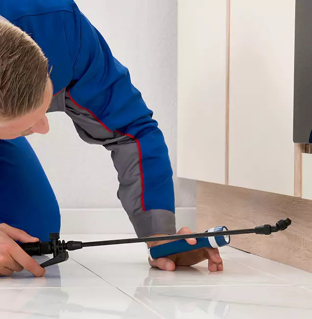Why Wixom Residents Choose Wixom Pest Control Pro to Get Rid of Sugar Ants?