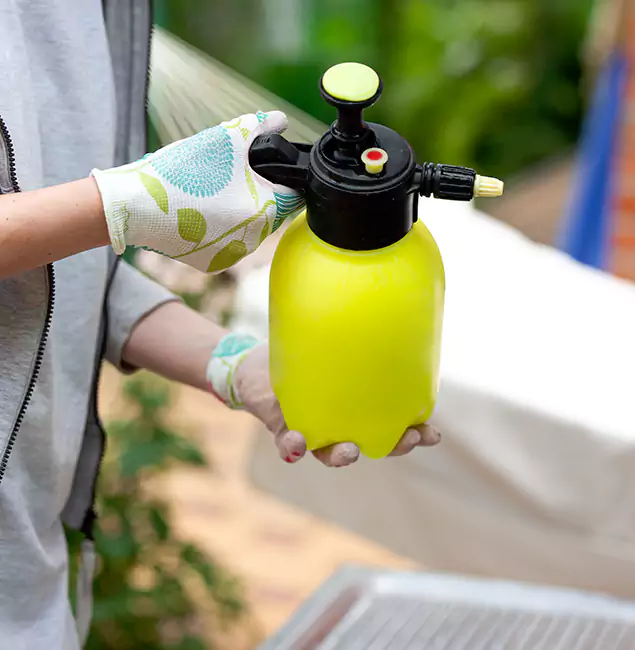 Why Choose Us: Wixom Pest Control Pro Termite Spraying Experts in Wixom, MI?