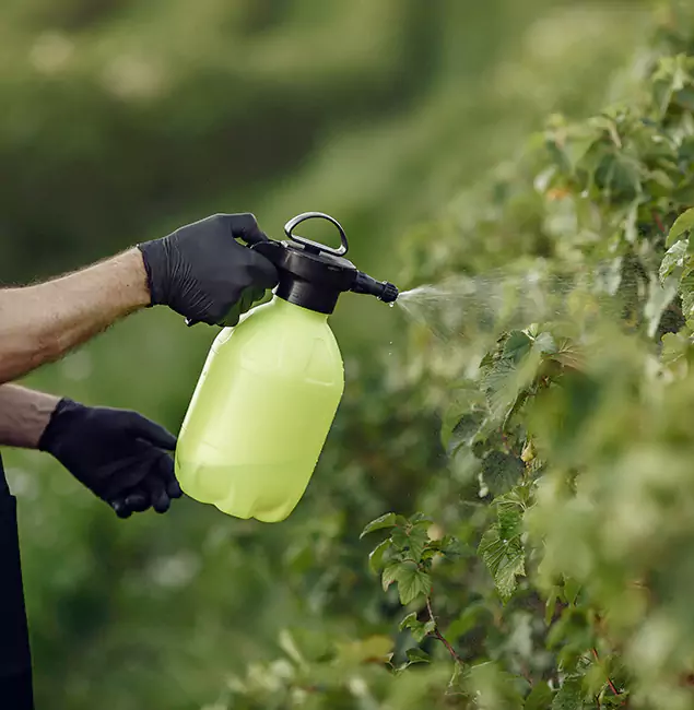 Why Wixom Homeowners Choose Wixom Pest Control Pro for Yard Tick Treatment?