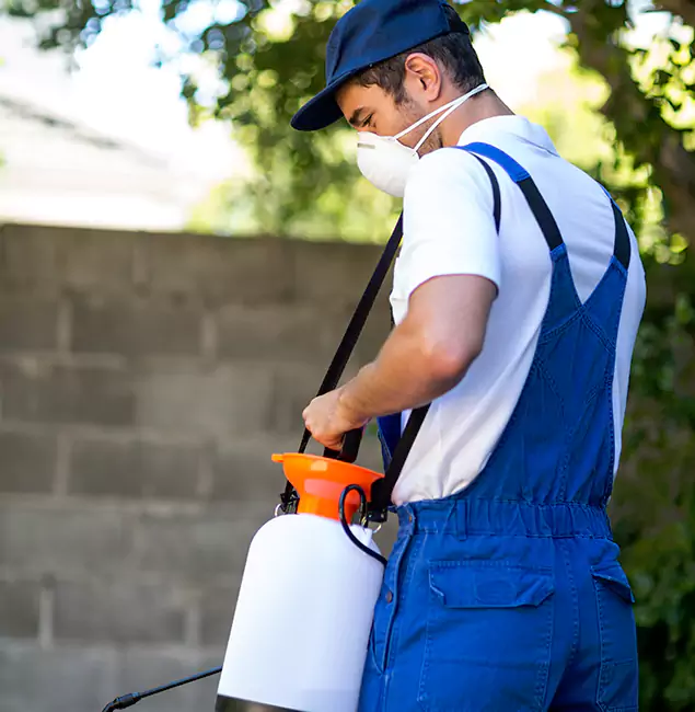 Why Wixom Pest Control Pro Is the Right Choice for Yellow Jacket Removal in Wixom, MI?