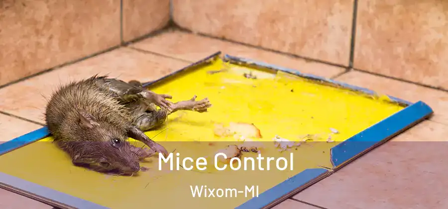 Mice Control Wixom-MI