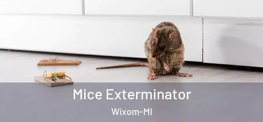 Mice Exterminator Wixom-MI