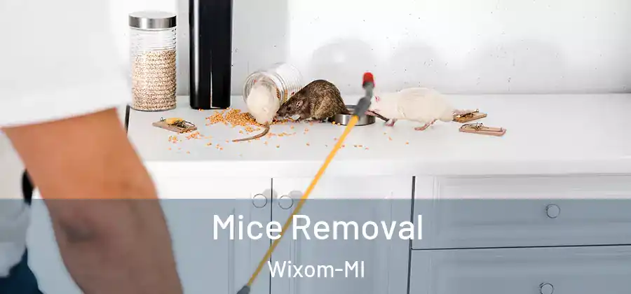 Mice Removal Wixom-MI