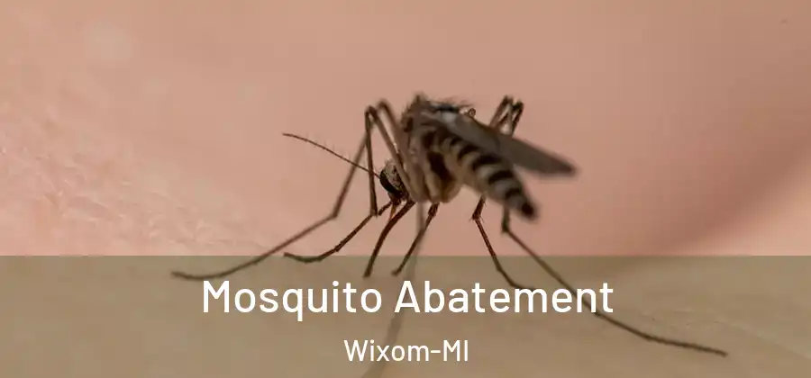 Mosquito Abatement Wixom-MI