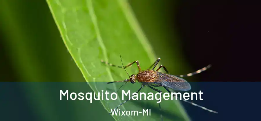  Mosquito Management Wixom-MI