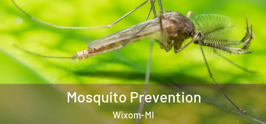 Mosquito Prevention Wixom-MI